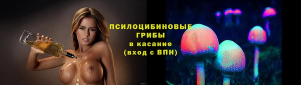 стаф Алексеевка