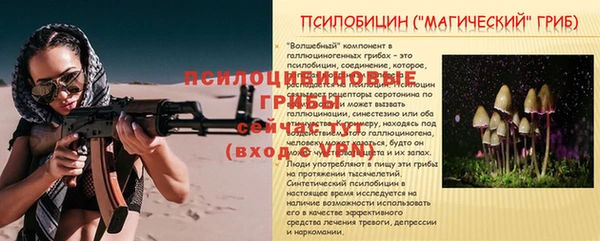 ECSTASY Алексин
