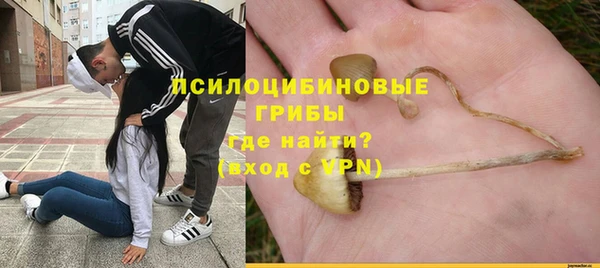 ECSTASY Алексин