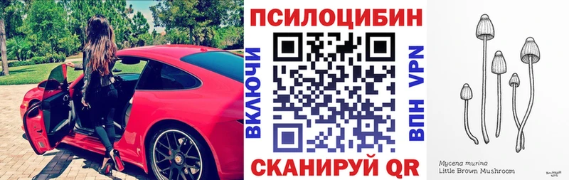 Купить где  Шелехов  Галлюциногенные грибы Cubensis 